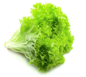 >Lettuce salad